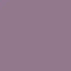 Muted Berry Paint Color DE5977