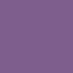 Plum Power Paint Color DE5985