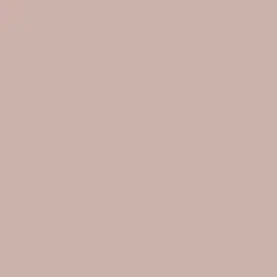 Dusty Trail Paint Color DE6052