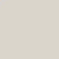 Thick Fog Color de pintura DE6058