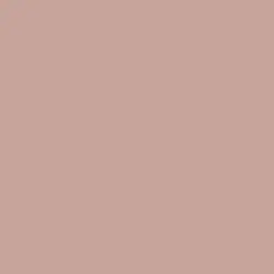Rose Bisque Paint Color DE6081