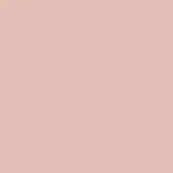 Muddy Rose Paint Color DE6087