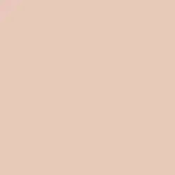 Galveston Tan Paint Color DE6101