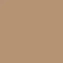 Colorado Trail Paint Color DE6117