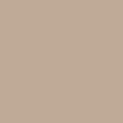 Trail Dust Paint Color DE6123