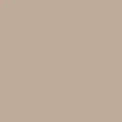 Trail Dust Paint Color DE6123
