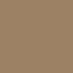 Teddy Bear Paint Color DE6131