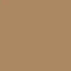Dark Sepia Paint Color DE6138