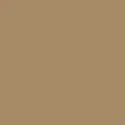 Rocky Ridge Paint Color DE6145