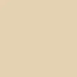 Bisque Tan Paint Color DE6157