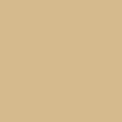 Buckskin Paint Color DE6158