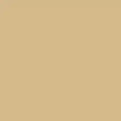 Buckskin Paint Color DE6158