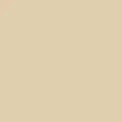 Boutique Beige Paint Color DE6178