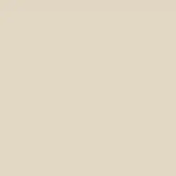 Exclusive Ivory Paint Color DE6191