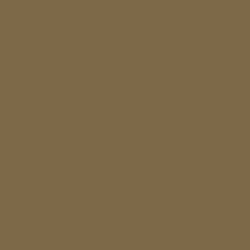Essential Brown Paint Color DE6203