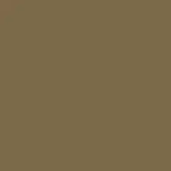 Essential Brown Paint Color DE6203