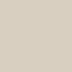 Fine Grain Paint Color DE6213