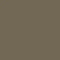 Treasure Chest Paint Color DE6224