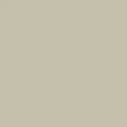 Serene Thought Paint Color DE6234