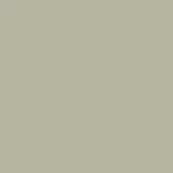 Turtle Trail Paint Color DE6256