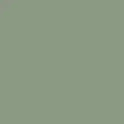 Linden Spear Paint Color DE6285
