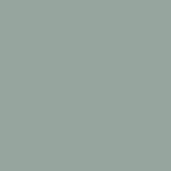 Agate Green Paint Color DE6298