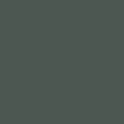 Black Spruce Paint Color DE6308