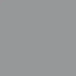 Formal Gray Paint Color DE6382