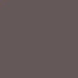 Louisiana Mud Paint Color DE6398