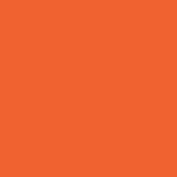 Exuberant Orange Paint Color DEA112
