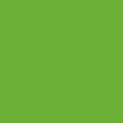 Leprechaun Paint Color DEA126