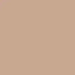 Moenkopi Tan Paint Color DEC704