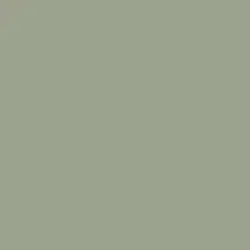 Meadowood Paint Color DEC777