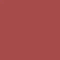 Pasadena Rose Paint Color DET429