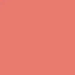 Pueblo Rose Paint Color DET438