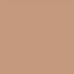 Chinook Salmon Paint Color DET456