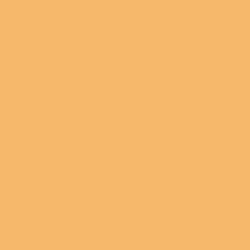 Citrus Honey Paint Color DET461