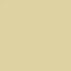 Summer Solstice Paint Color DET492