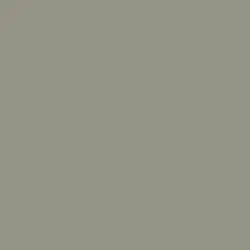 Dapple Gray Color de pintura DET511