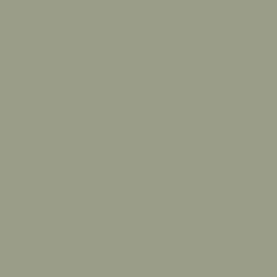 Flagstone Quartzite Color de pintura DET517