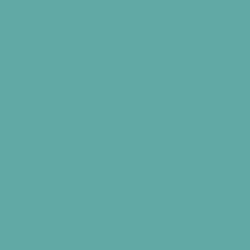 Veranda Paint Color DET543