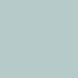 Berry Mojito Paint Color DET565