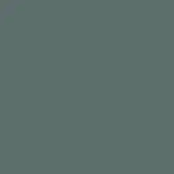 Brooding Storm Paint Color DET604