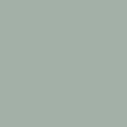 Life Aquatic Paint Color DET607