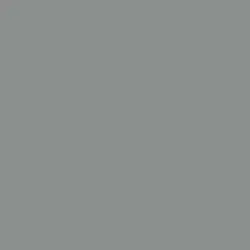 Stieglitz Silver Paint Color DET612
