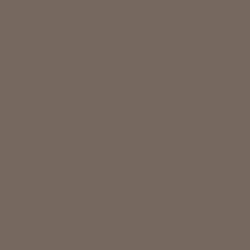 Cocoa Powder Paint Color DET631