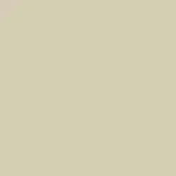 Ecru Wealth Color de pintura DET635