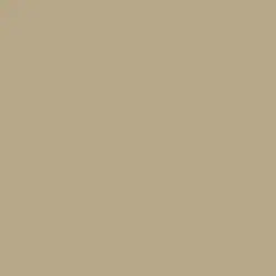 Sepia Tone Paint Color DET638
