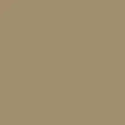 Maple Brown Sugar Paint Color DET639