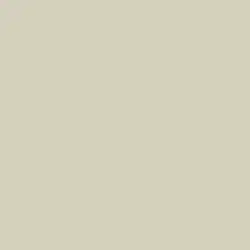 Doric White Paint Color DET641